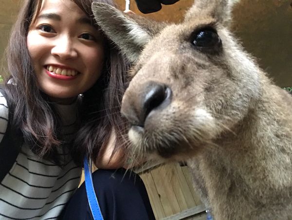 オーストラリア連邦・ケアンズ「大自然！オーストラリアケアンズ🇦🇺卒業旅行」の写真：動物大好き人間にとってはたまらん時間🥺🥺🙈