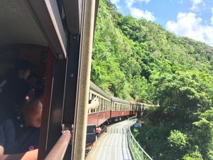 キュランダへ⛰
ほんとに大自然。圧巻。そして暑い。笑

気分は世界の車窓か...