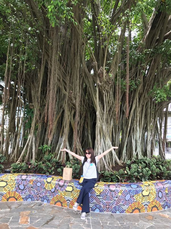 オーストラリア連邦・ケアンズ「大自然！オーストラリアケアンズ🇦🇺卒業旅行」の写真：南国で浮かれる娘🏝