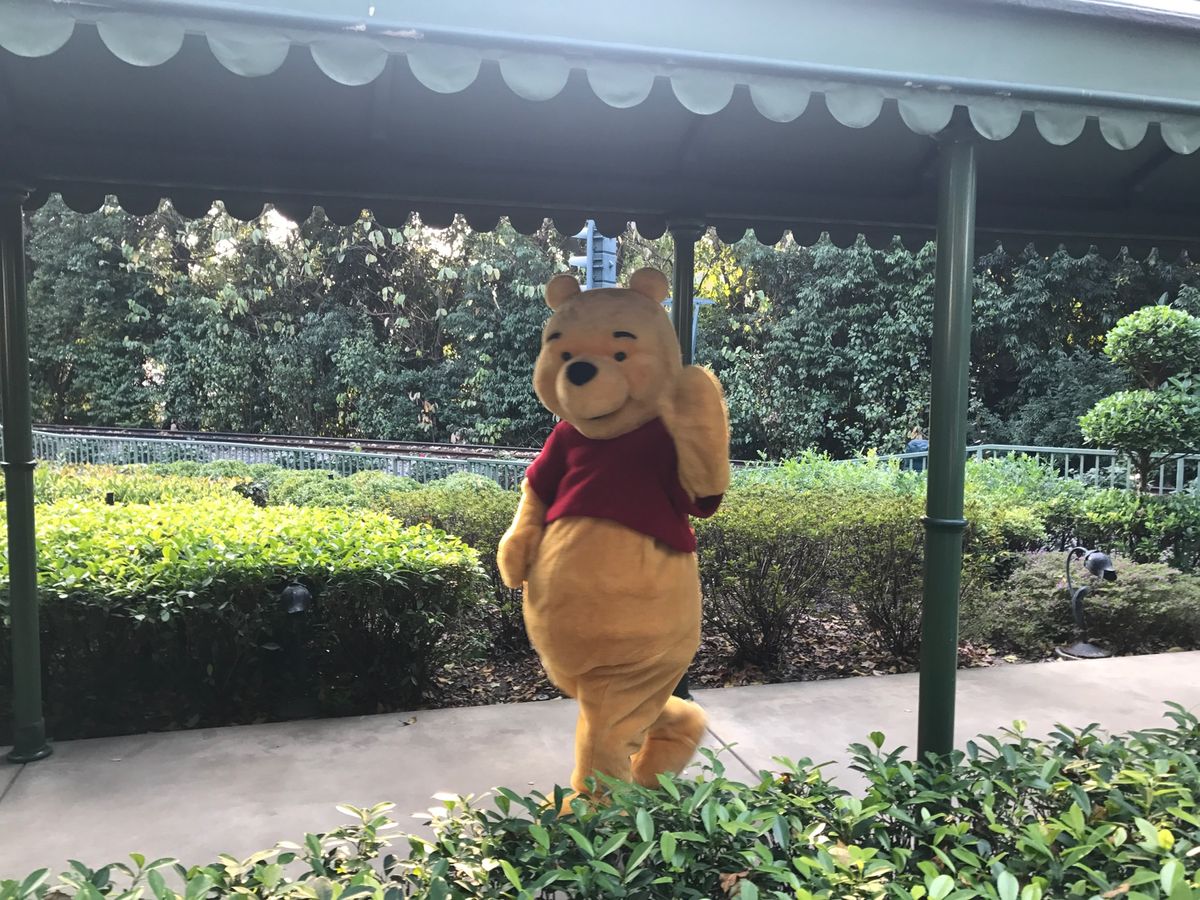 フォトスポットがたくさんある📷