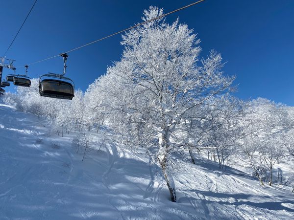日本・長野県「野沢温泉　スキー」の写真
