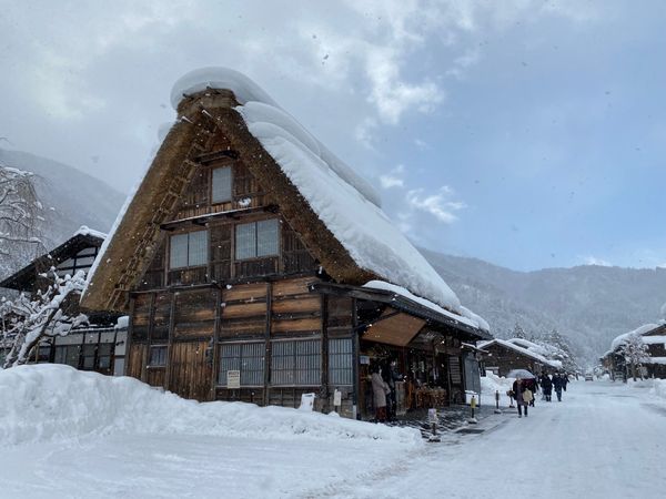 日本・石川県「石川県と岐阜の白川郷旅！」の写真：雪の白川郷！