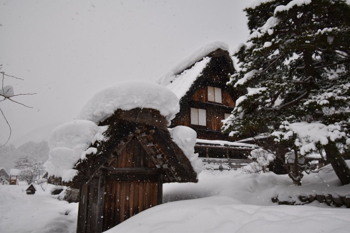 雪の白川郷！