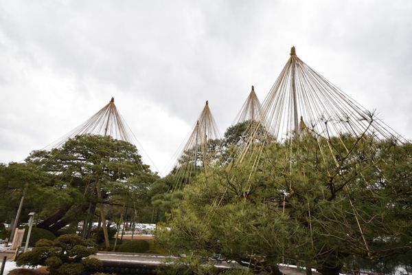 日本・石川県「石川県と岐阜の白川郷旅！」の写真：兼六園！
もうちょっと雪が欲しい！
