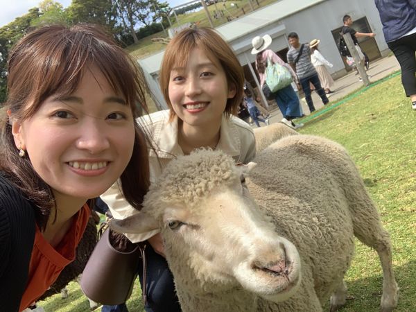 日本・千葉県「日帰りマザー牧場🐑」の写真：🐑