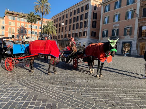 イタリア・ローマ「初めてのヨーロッパ🇮🇹イタリア🍕」の写真