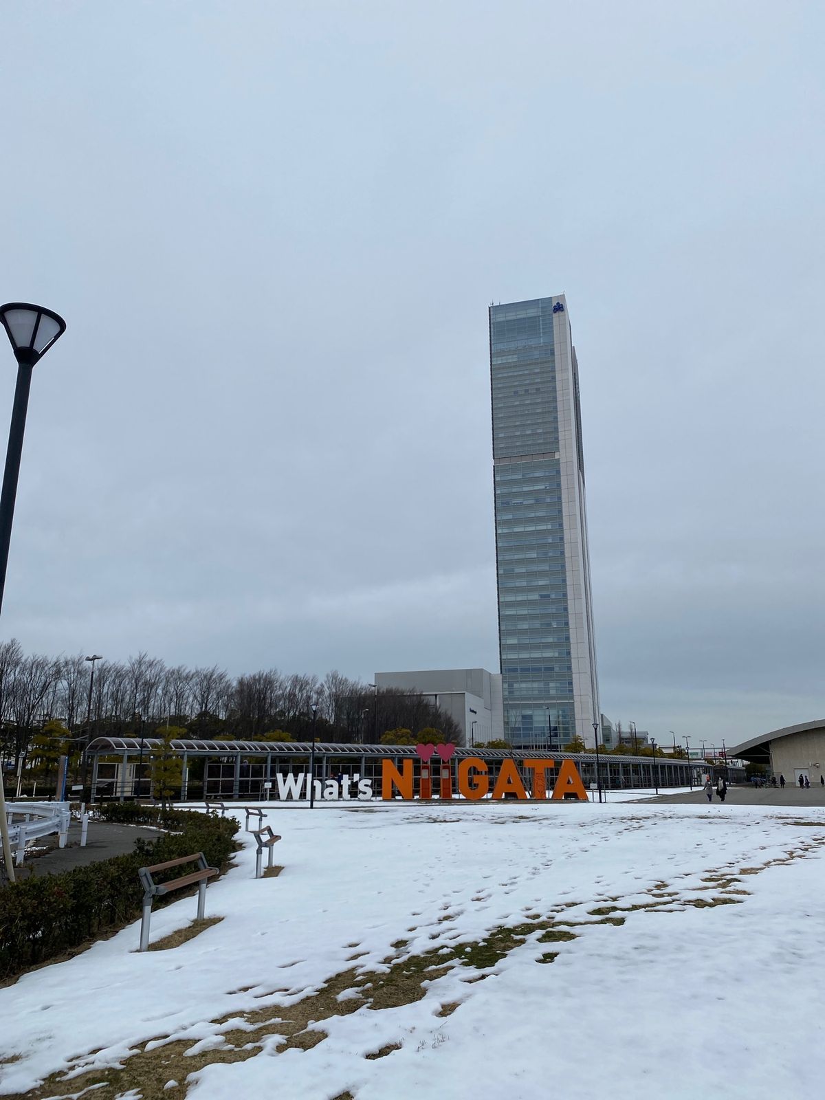 新潟市内はほとんど積雪はなく、芝生部分でようやく雪景色。
朱鷺メッセの展望...