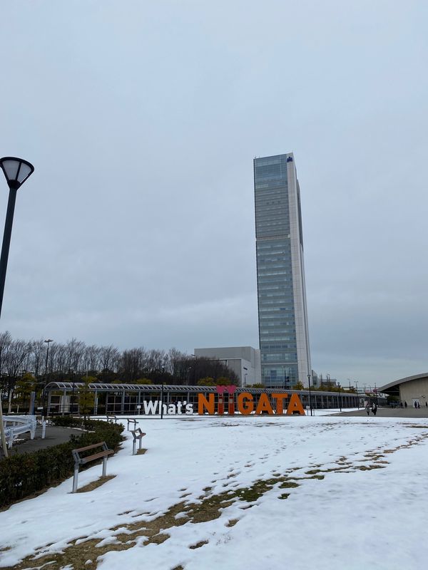 日本・新潟「飛ぶか？飛行機！冬の新潟」の写真：新潟市内はほとんど積雪はなく、芝生部分で...