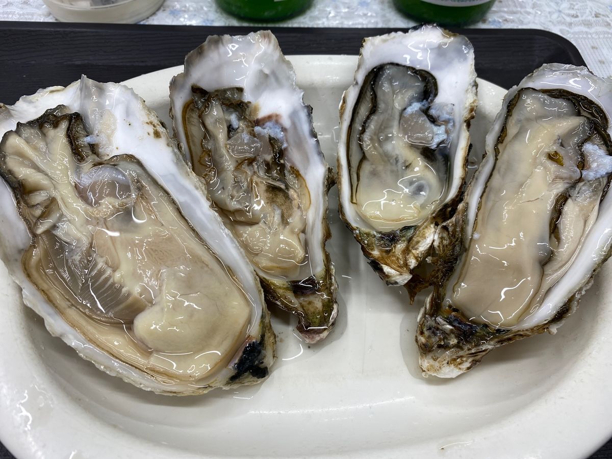 雪の壁とテレビ塔。
それでもだいぶ解けたみたい。
二条市場でブランチ直後に...