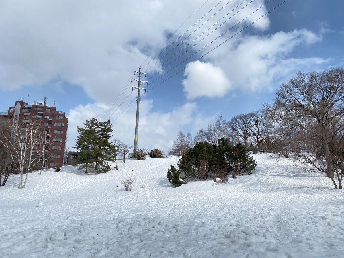 初めての雪に埋もれた平岸高台公園。
これで四季を制覇できたかな？