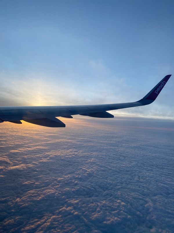 日本・北海道「まだまだ冬の北海道」の写真：初めての冬の北海道は、大きな混乱もなく完...