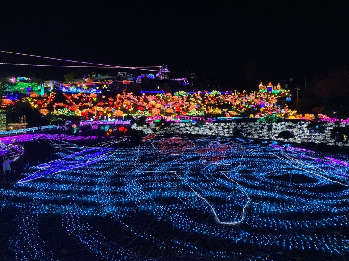 圧巻のイルミネーション🎄✨