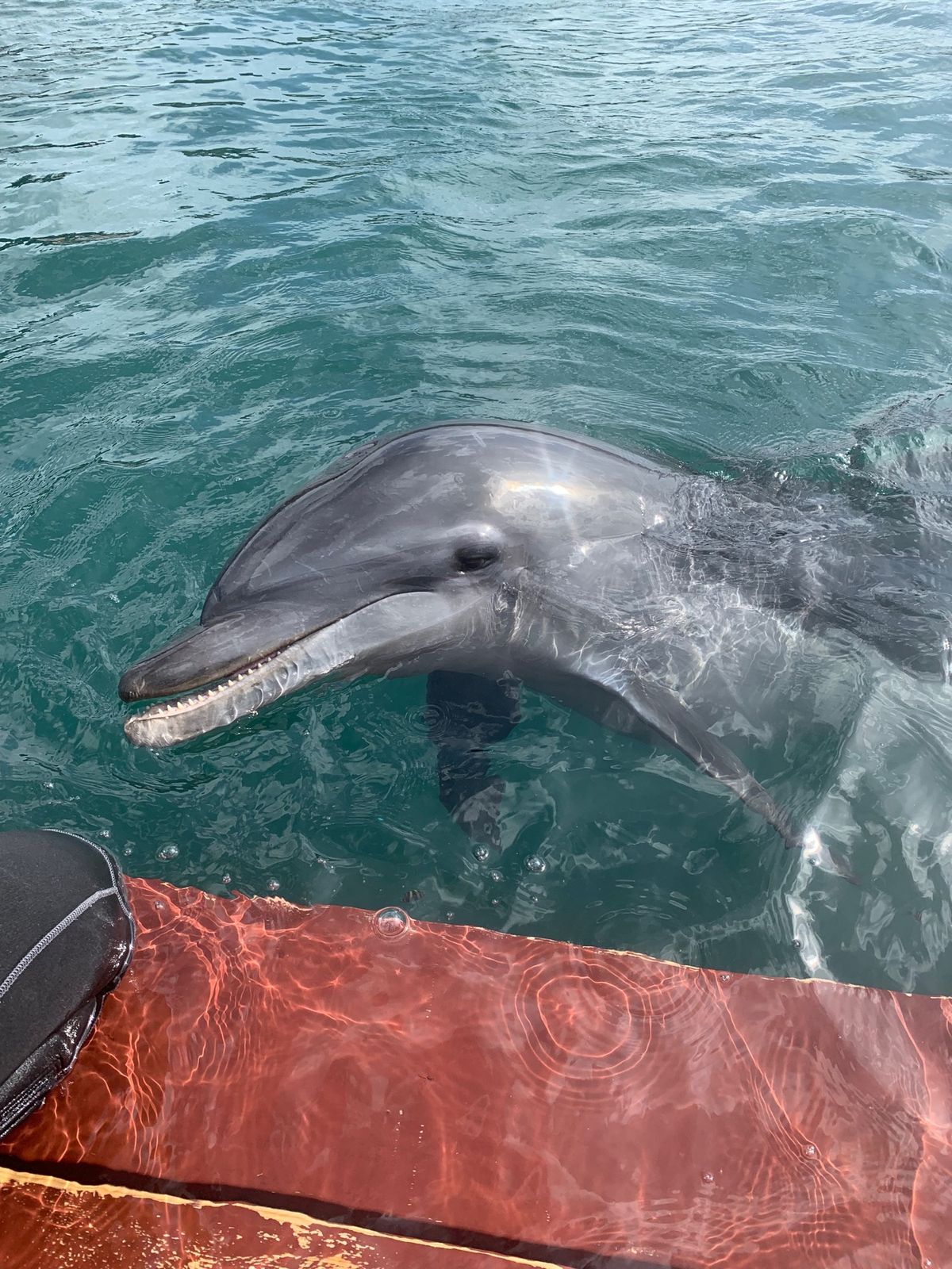 幸せ🥰🥰🥰🐬