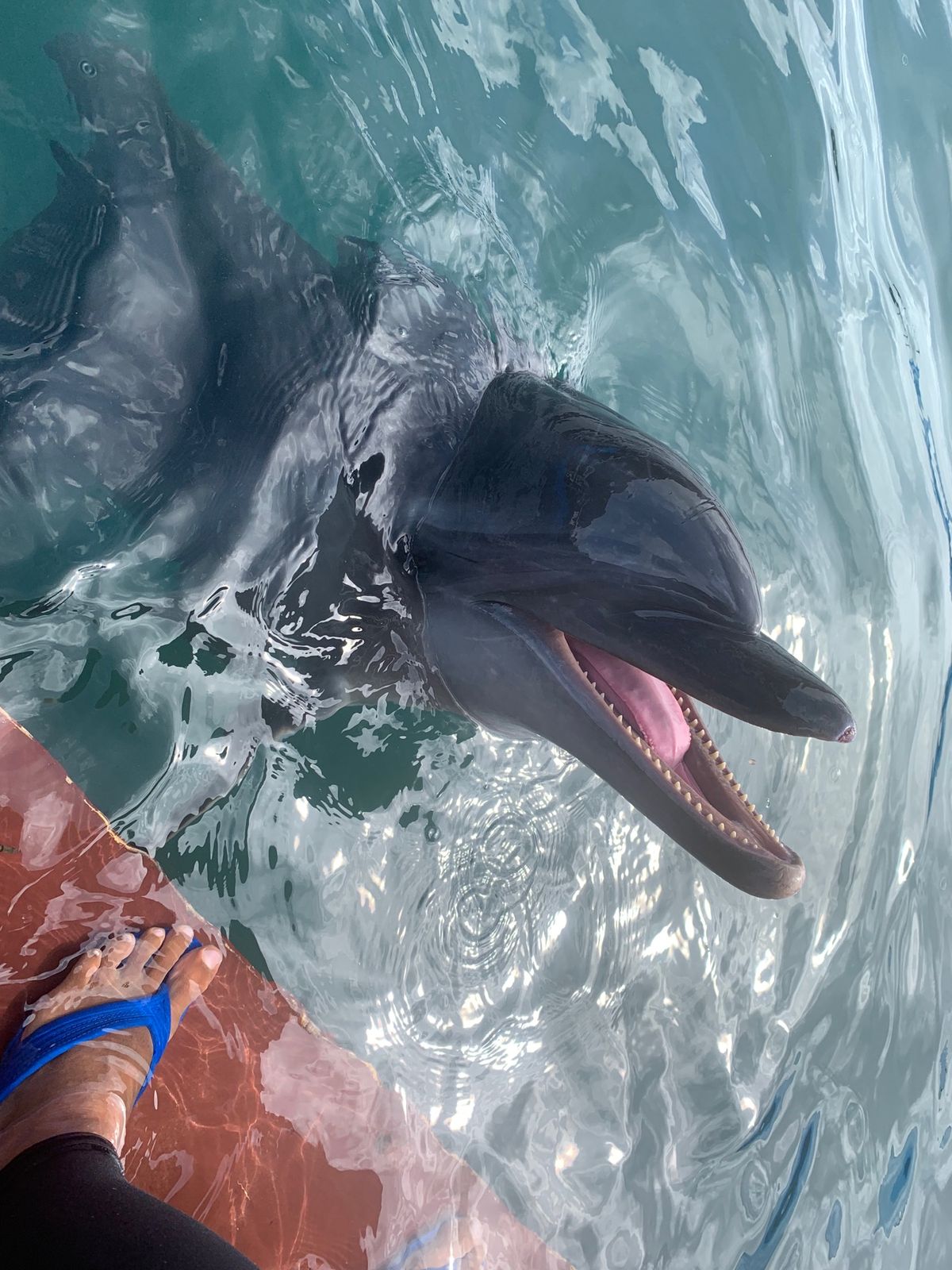 幸せ🥰🥰🥰🐬