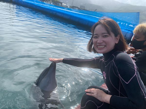 日本・伊豆「夢のイルカと泳ぐ🐬旅」の写真