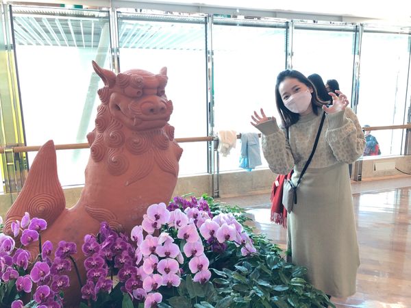 日本・沖縄県「弾丸✈️沖縄一人旅」の写真