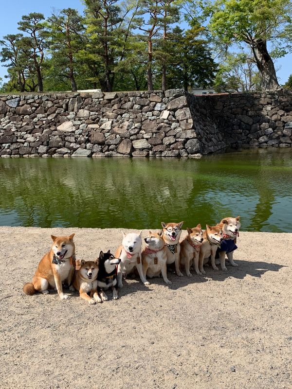 日本・長野県「長野県」の写真