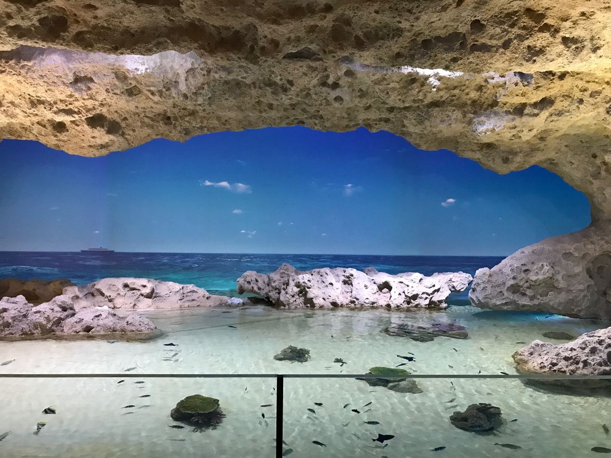 2022.1.2
#イーアス沖縄豊崎
#DMMかりゆし水族館