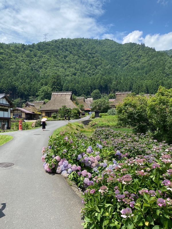 日本・京都府「京都府」の写真