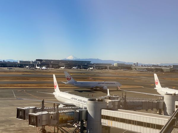 日本・千葉県「年末年始旅」の写真：1)羽田空港5階のスタバの網窓じゃないと...