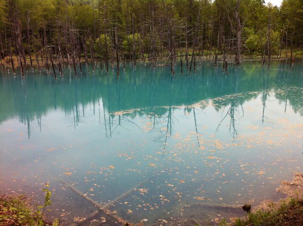 日本・北海道「道東の旅」の写真