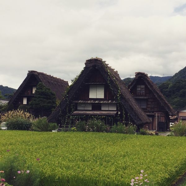 日本・京都府「帰省ついでにあちこち」の写真