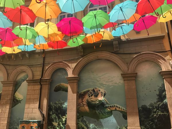 ポルトガル・Águeda「Águeda, Portugal」の写真