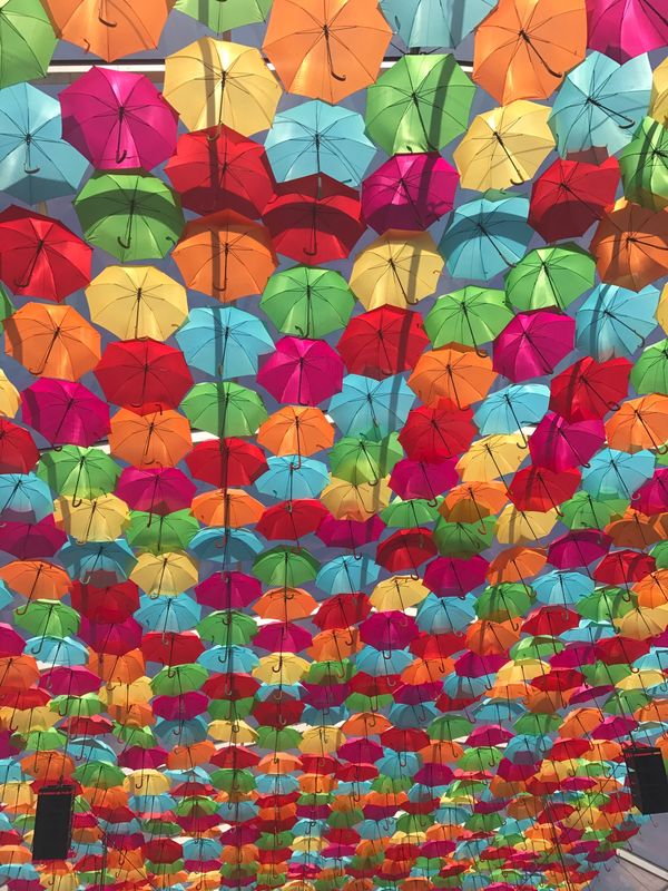 ポルトガル・Águeda「Águeda, Portugal」の写真