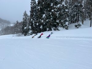 晴れてたのにお昼前から雪が降ってきた！