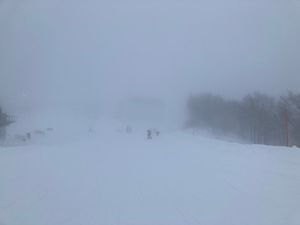 晴れてたのにお昼前から雪が降ってきた！