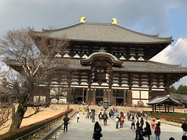 日本・和歌山県「近畿、東海ツーリング」の写真：東大寺大仏殿と正倉院