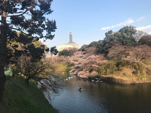 日本・東京都「ハトバスツアー」の写真