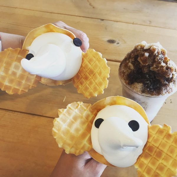 日本・神奈川県「横浜」の写真