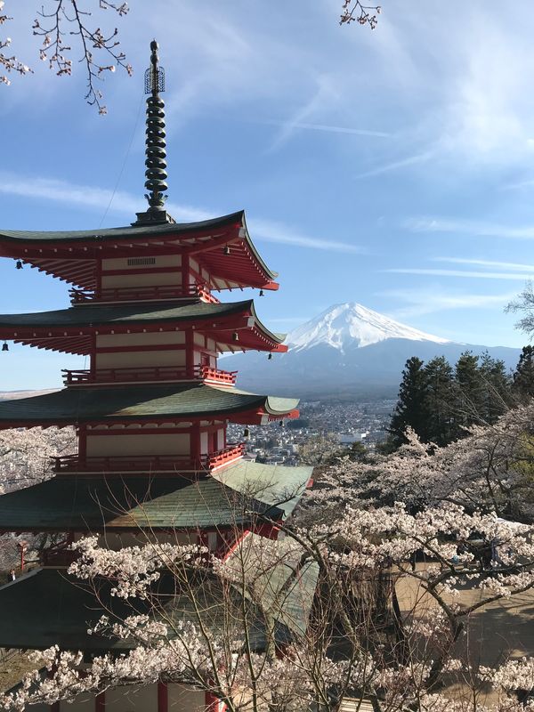 日本・山梨県「新倉山　富士吉田」の写真
