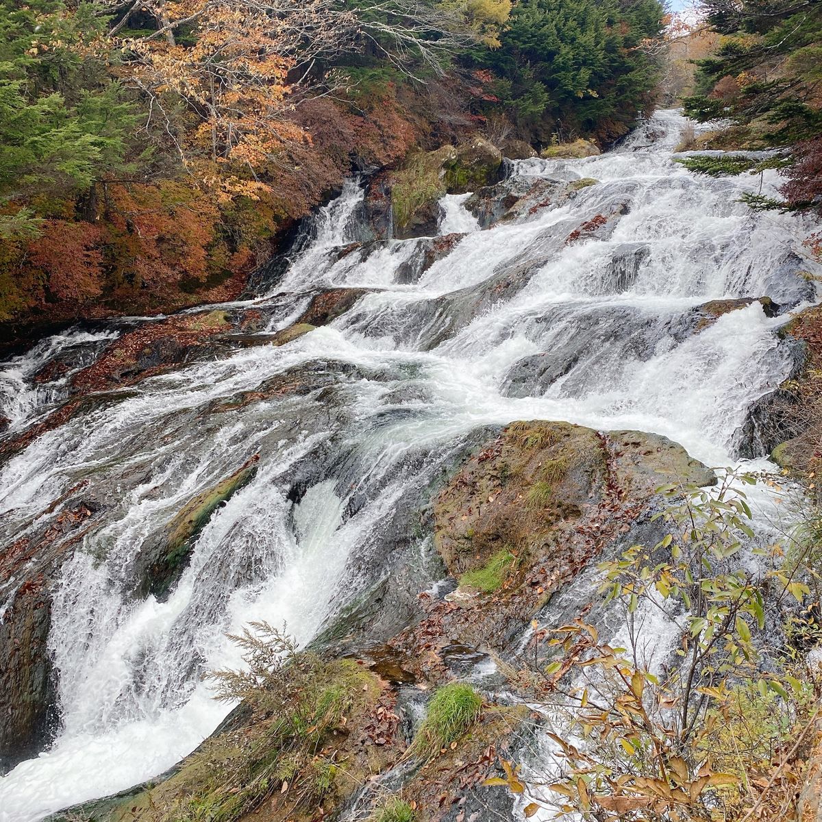 宿のメインディッシュ
華厳の滝
竜頭の滝
宇都宮餃子の正詞はコロナのため
...