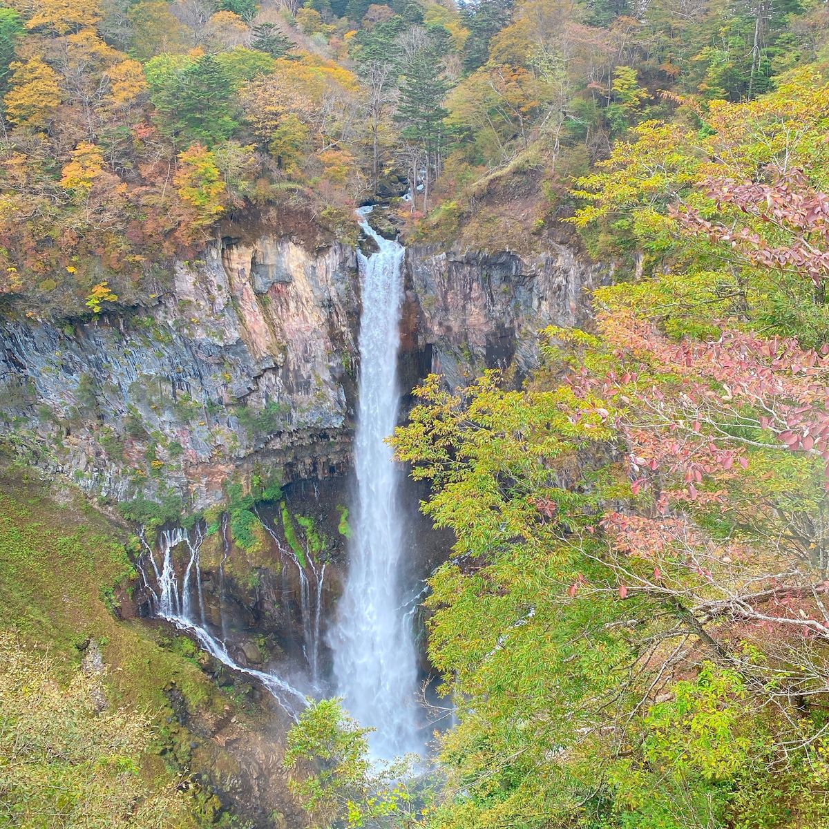 宿のメインディッシュ
華厳の滝
竜頭の滝
宇都宮餃子の正詞はコロナのため
...