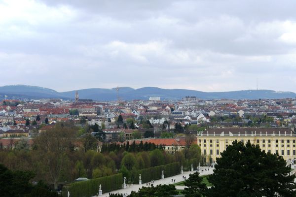 オーストリア・ウイーン「Vienna, Austria」の写真