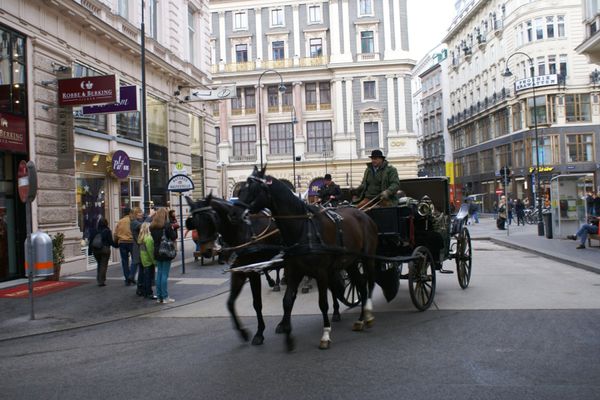 オーストリア・ウイーン「Vienna, Austria」の写真