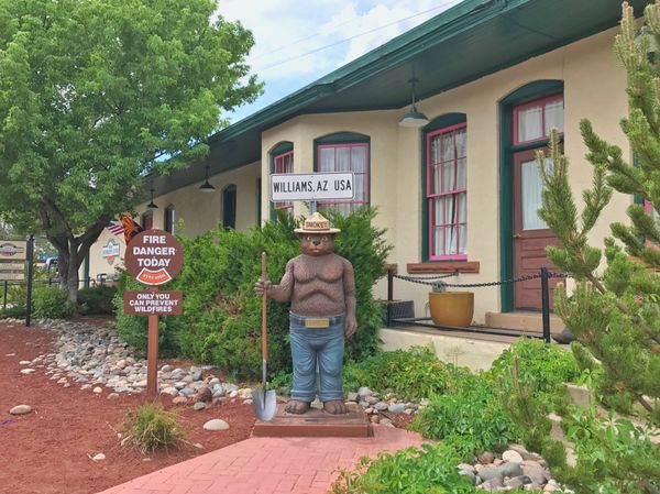 アメリカ(米国)・ロサンゼルス「USA🇺🇸job⚑⁎∗」の写真：13rd Jul. 2017 pic📷
...