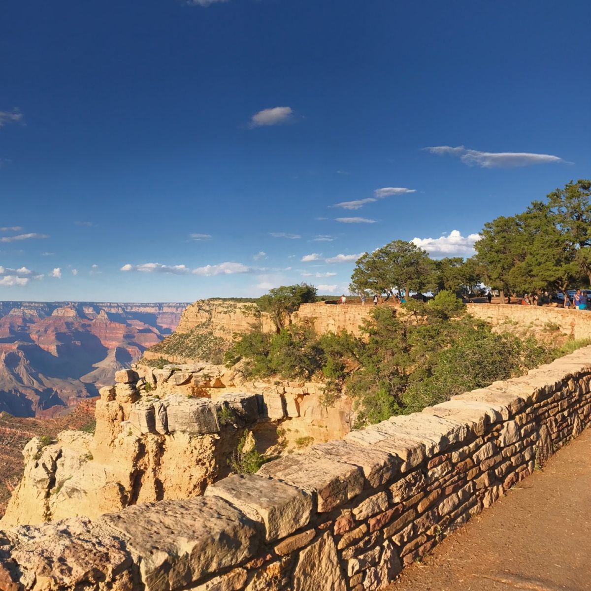 13rd Jul. 2017 pic📷

Grand Canyon Nat...