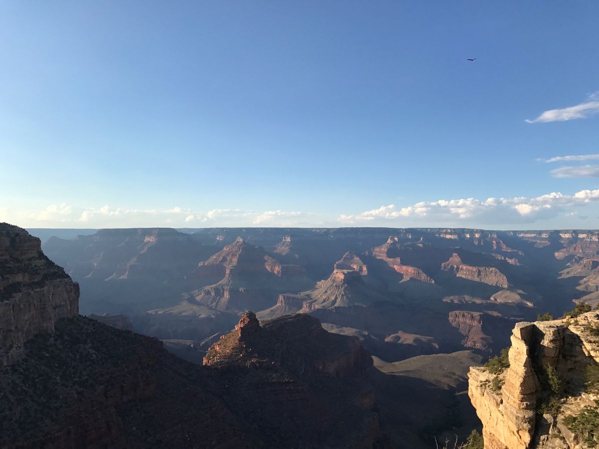 13rd Jul. 2017 pic📷

Grand Canyon Nat...