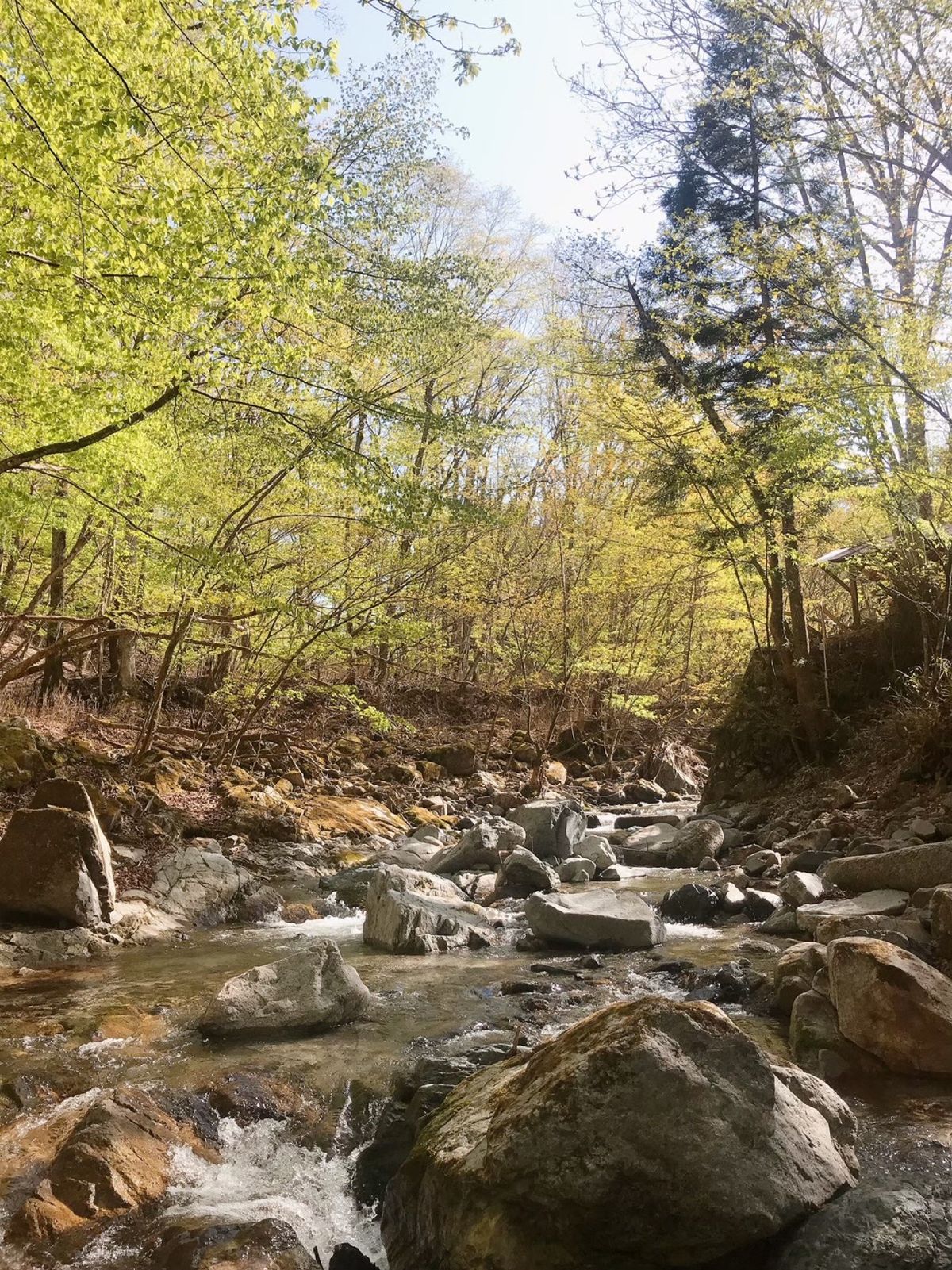 貸切状態のキャンプ場

外で食べるとおいしい❤️

大自然が1番のごちそう...