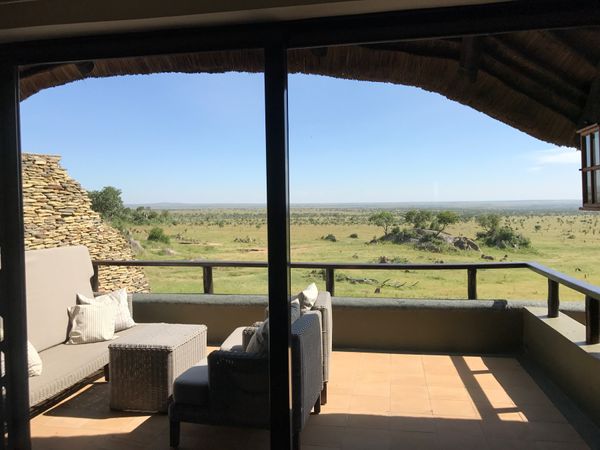 タンザニア連合共和国・ケニア「Beautiful Tanzania🦁」の写真