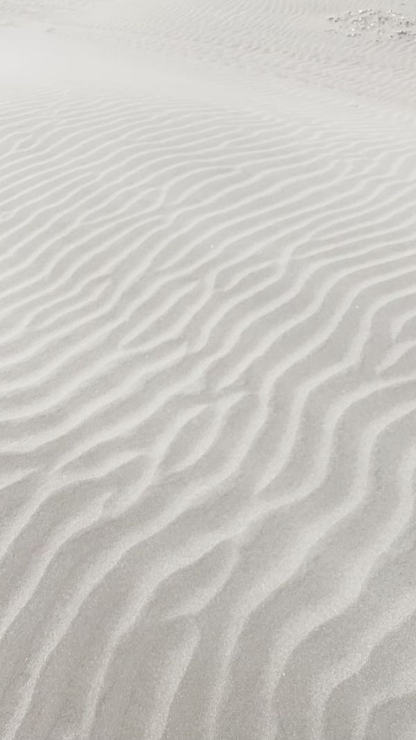 日本・千葉県「九十九里Daytrip」の写真：九十九里の砂浜
いさりび食堂
鰯の刺身と...