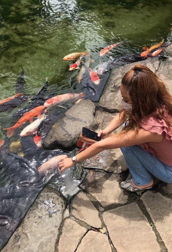 日本・山梨県「山梨Daytrip」の写真：ハーブ庭園旅日記
勝沼シャトー
完熟屋の...