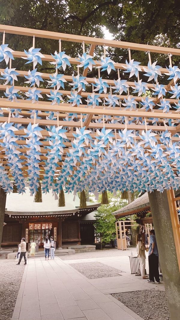 日本・氷川神社「川越Daytrip」の写真：氷川神社