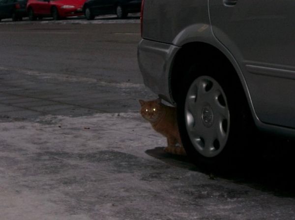 リトアニア・クライペダ「関空→ヴィルニス→クライペダ→ ヴィルニス→ワルシャワ→ グダンスク→ ワルシャワ→ ヴィルニス→ ワルシャワ→ 関空」の写真：2007年12月30日。ヴィルニス。