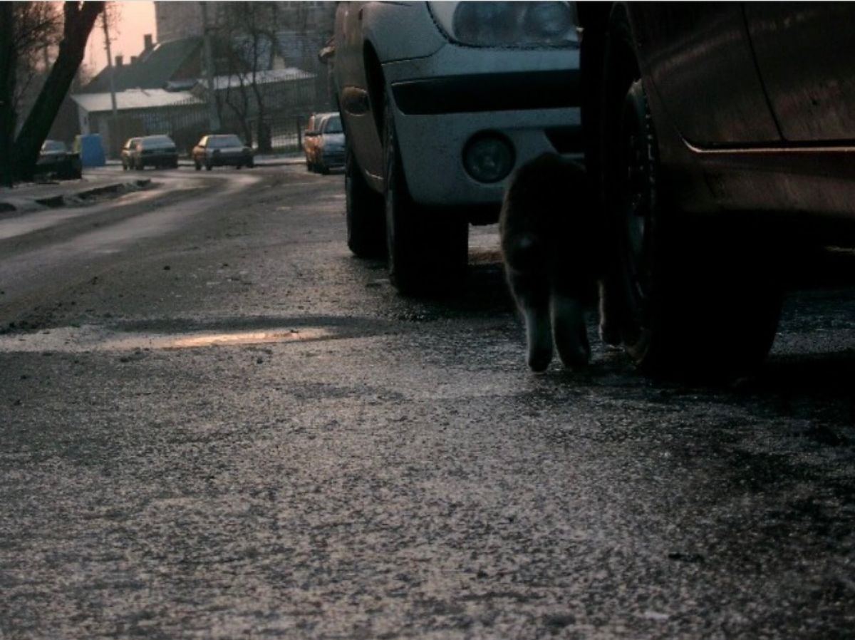 2007年12月25日から29日。ヴィルニス。