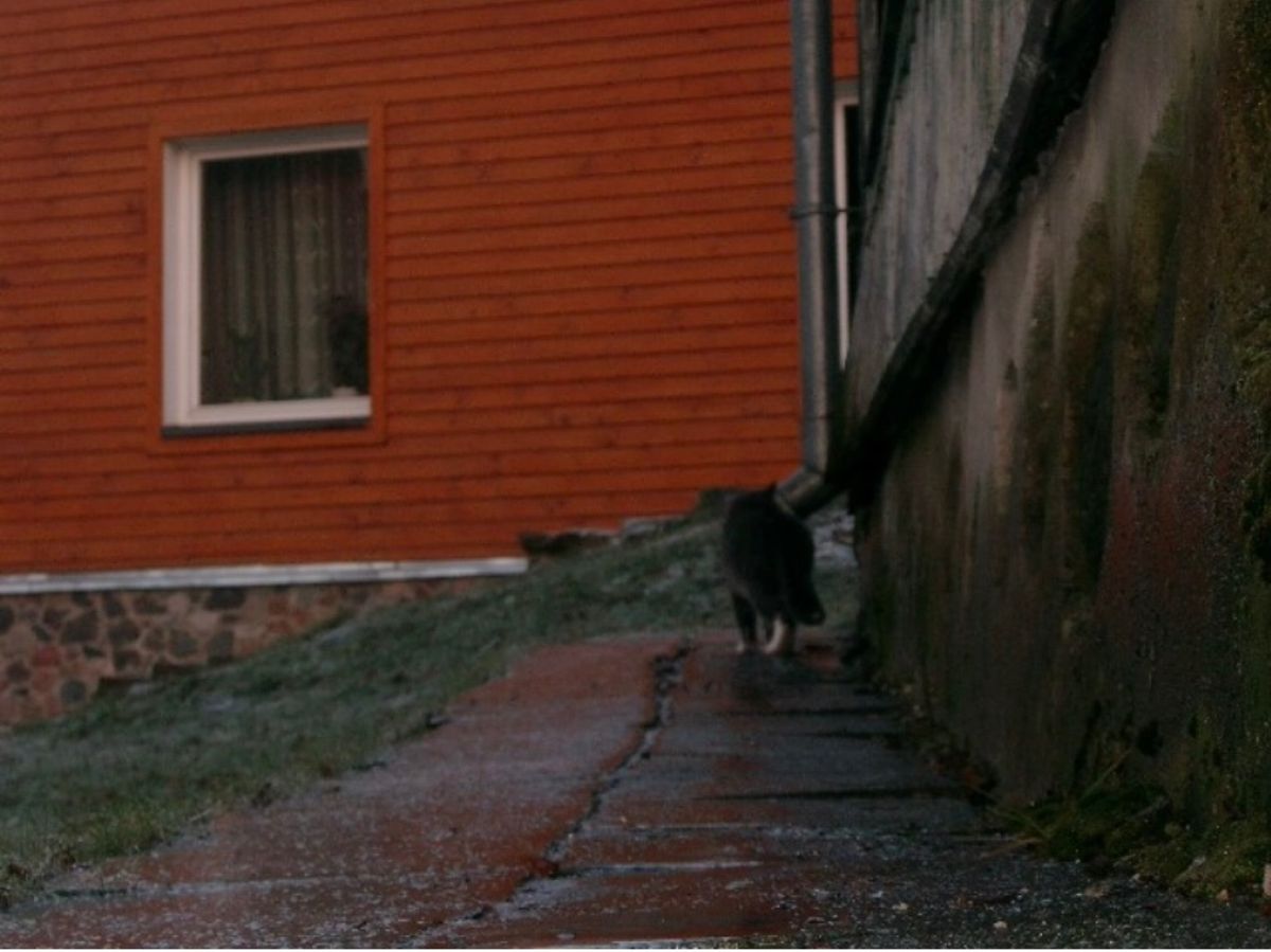 2007年12月25日から29日。ヴィルニス。