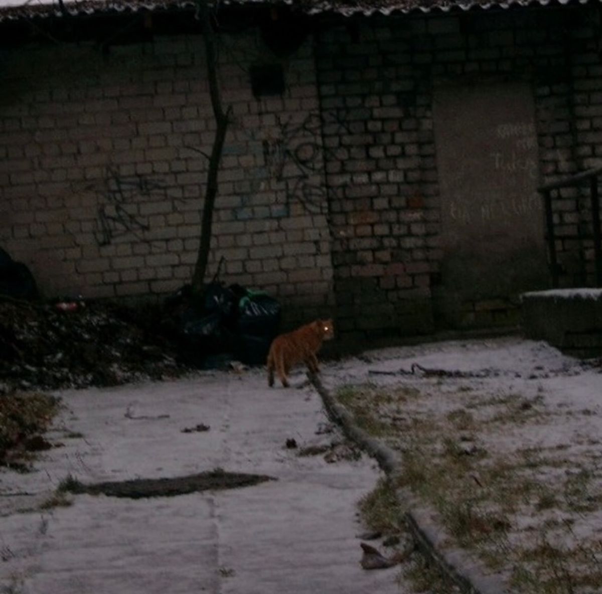 2007年12月30日。ヴィルニス。